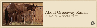 About Greenway Ranch@O[EFC`ɂ