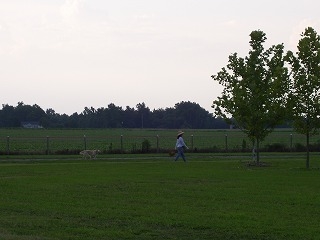 100_1278.jpg
