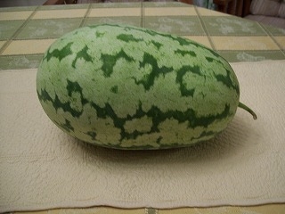 100_1402.jpg