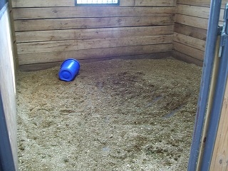 100_1412.jpg