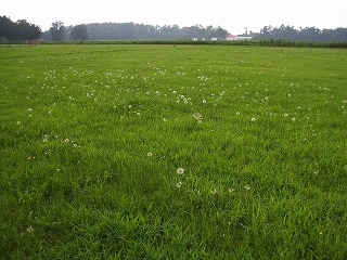 100_1458.jpg