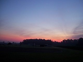 100_1268.jpg