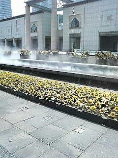 P1070014.jpg
