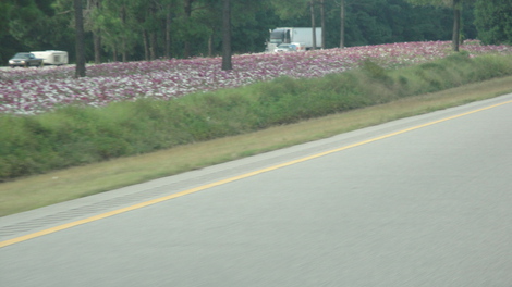 DSC01793.JPG